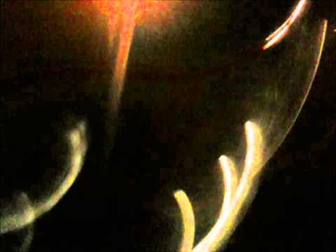 Night On "Gröna vallen" (Trailer)