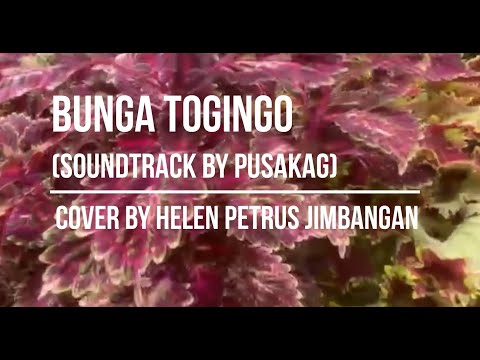 Bunga togingo