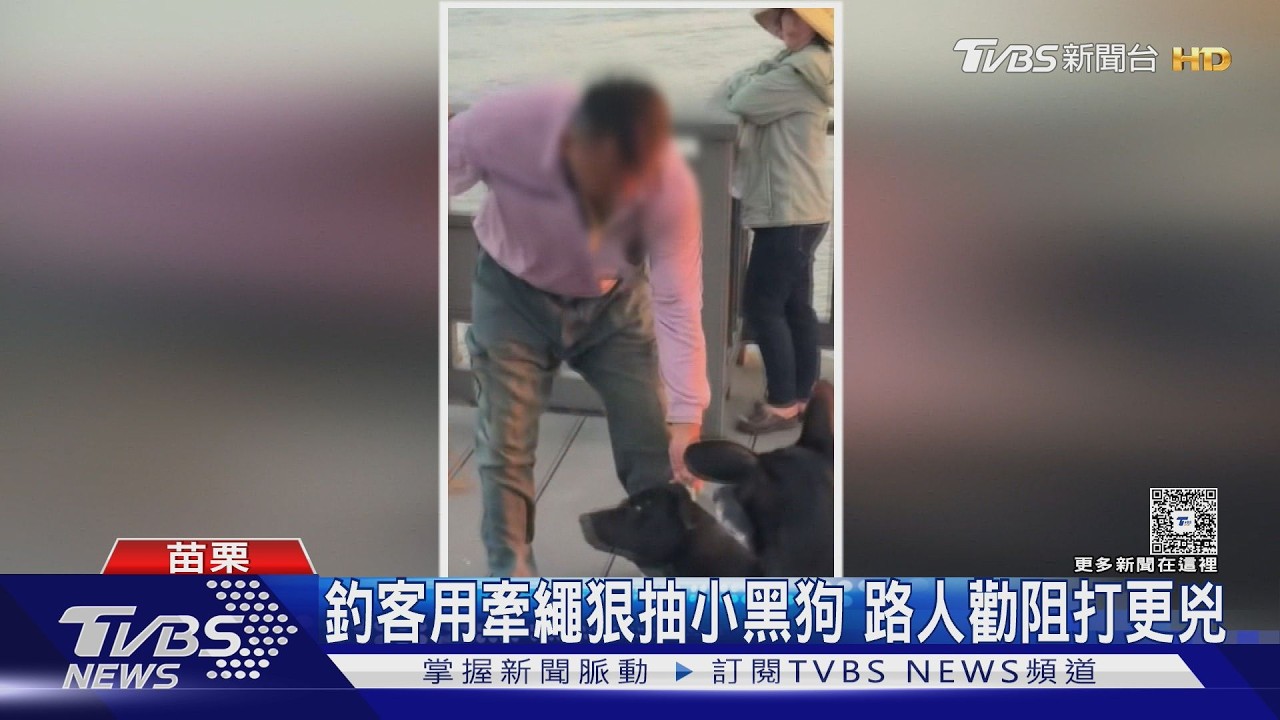 龍鳳漁港「虐狗影片」曝光！飼主抽打不停　網怒：爛透了