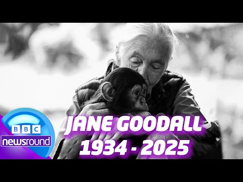 Jane Goodall – Conservation and Chimpanzees