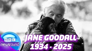 Jane Goodall Dies at 91: Remembering Conservation Icon | Newsround | News For Kids