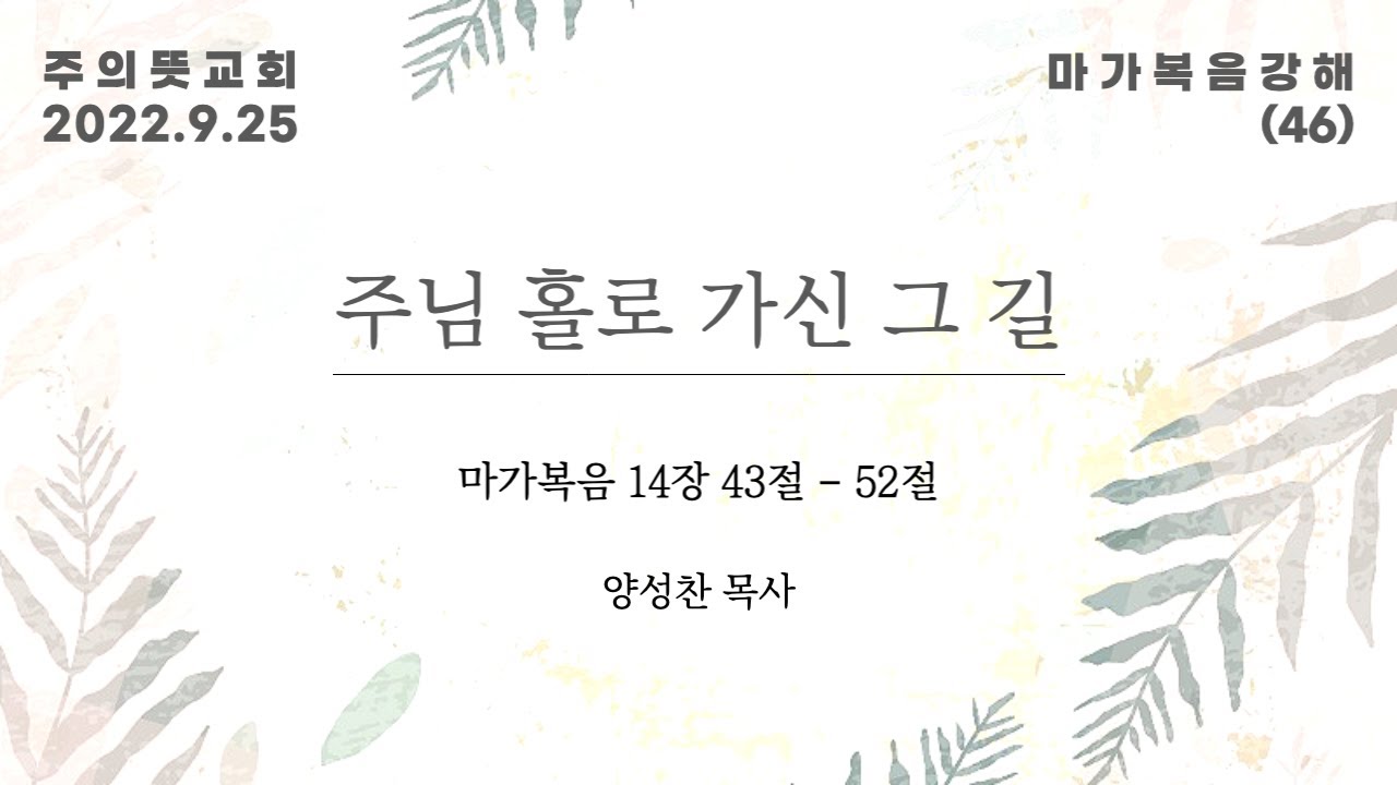 마가복음 강해(46), 마가복음 14장 43-52절, 주님 홀로 가신 그 길, 주의뜻교회 영상 썸네일