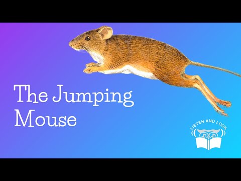 Listen and Look Burgess Animal Book Chapter 16: Danny's Northern Cousins and Nimbleheels