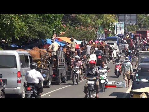 NET. JATIM - PASAR HEWAN AKIBATKAN JALUR MUDIK PAMEKASAN MACET