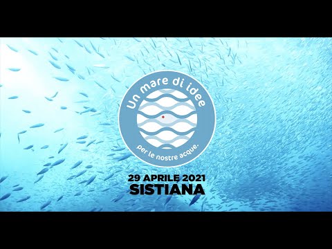 Anteprima video