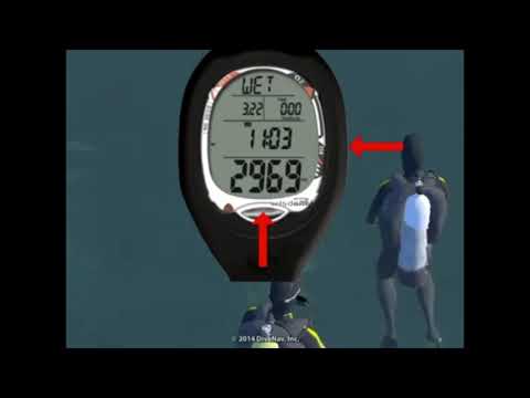 Video Review of the Sherwood Wisdom 3 Computer with Compass and QD
