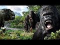 King Kong S Best Scenes