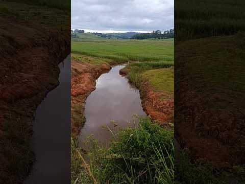 Águas De Furnas Baixou Muito #shorts