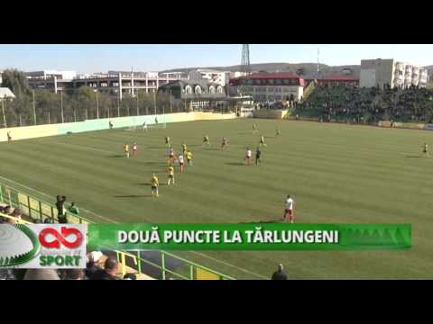 DOUA PUNCTE LA TARLUNGENI