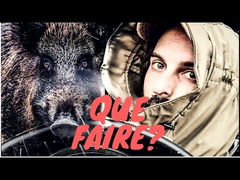 JE ME SUIS FAIT AVOIR PAR UN SANGLIER.