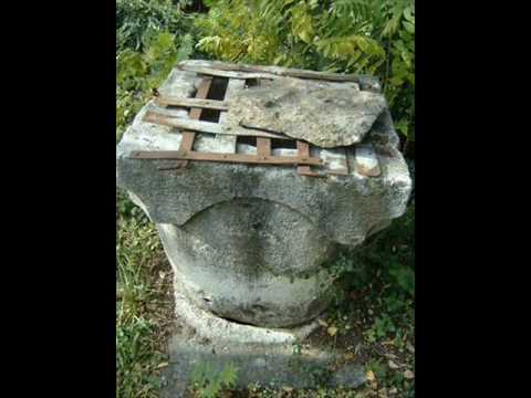 Pero Panjković - Gustirna