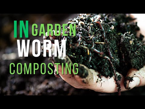 In Garden Worm Composting Class || Arizona Worm Farm