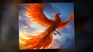 Dan Fogelberg Phoenix