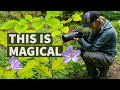 Magical Woodland Photography | Photographing Somewhere That Really Speak To You