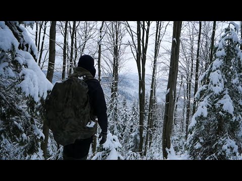 Samotny zimowy biwak w górach pod pałatką | Leczo na ognisku | Bushcraft Wild Adventure