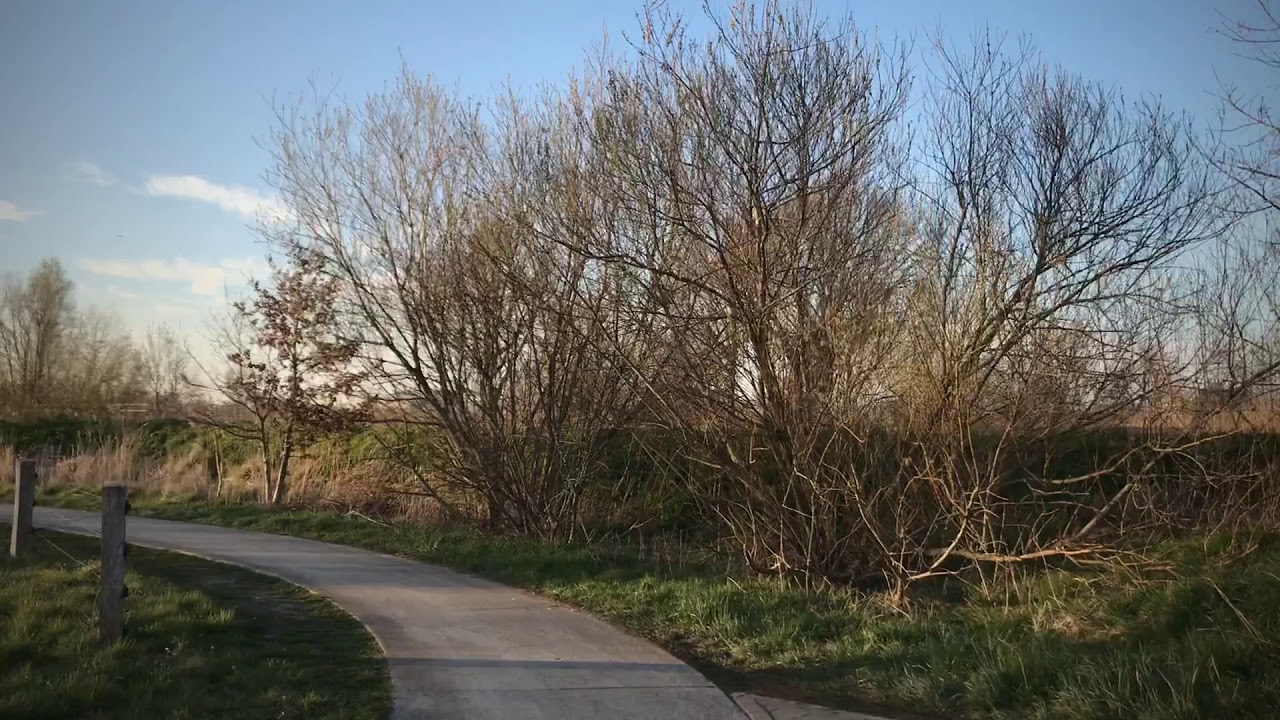 Fietsen door de polder