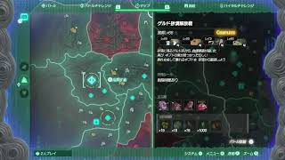 【スイッチ２】ゼルダ無双封印戦記【のんびり】