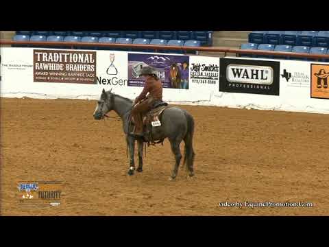 Suns Out Guns Out 2019 NRCHA Snaffle Bit Futurity Rein work