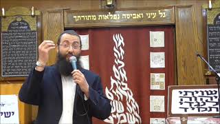 לימוד תורה בהלכה ובאגדה