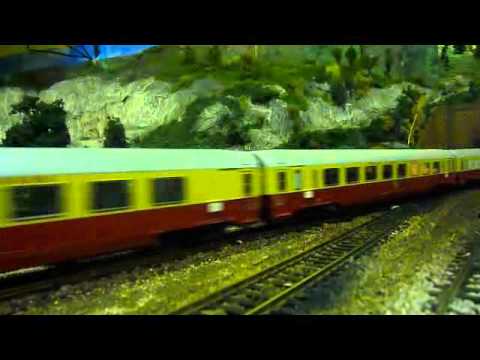 Cunifer   Settebello e TEE