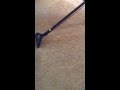 MacDaddy Cleaning Carpet