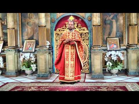 04.10.2020 Dum. a 19 a după Rusalii; Iubirea vrăjmașilor - Pr. Dr. Ioan Codorean