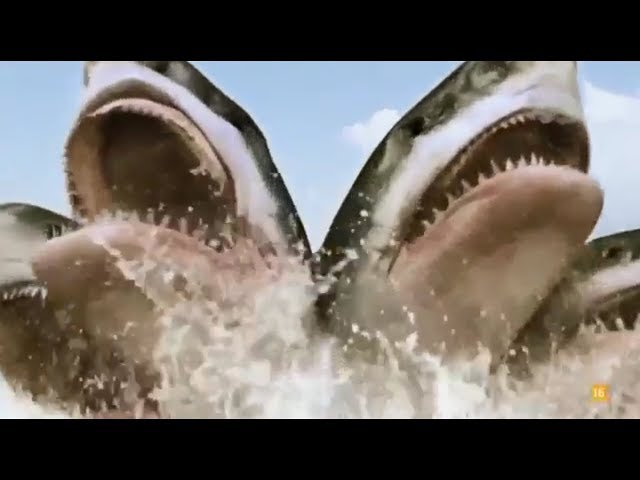 All Creature Effects #8: 5-Headed Shark Attack