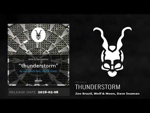 Zoo Brazil - THUNDERSTORM EP [Selador]