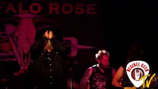 Texas Hippie Coalition - Damn You To Hell: Live at Buffalo Rose Golden, CO.