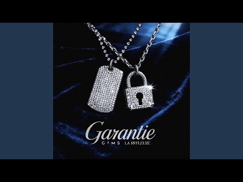 GIMS, La Rvfleuze - GARANTIE