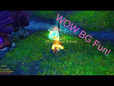 WOW Bfa Ret Paladin PVP