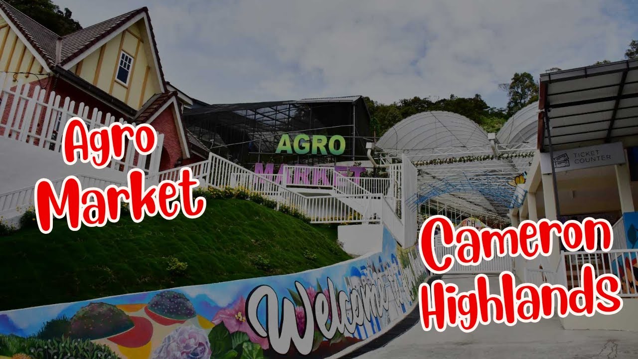 AGRO MARKET CAMERON HIGHLANDS TRIP 2024 #agromarket #cameronhighlandsmalaysia