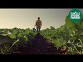 Midwest Whole Foods Market Commercial Food From A Happy Place Store Opening Whole Foods Market