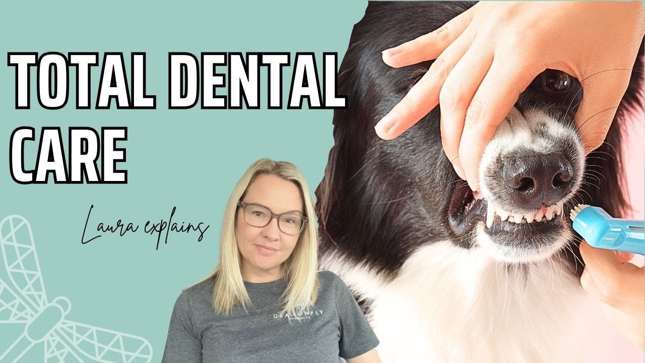 Total Dental Care for Dogs | Video