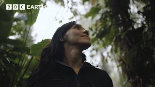 A Day In The Life Of A Wildlife Photographer In Brazil's Atlantic Forest | The Travel Edit