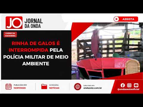 RINHA DE GALOS É INTERROMPIDA PELA POLÍCIA MILITAR DE MEIO AMBIENTE, EM CARMO DA CACHOEIRA