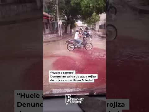 🚨 “Huele a sangre”: denuncian líquido rojizo saliendo de una alcantarilla en Soledad