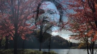 Carolyn Marie - Shelter Me