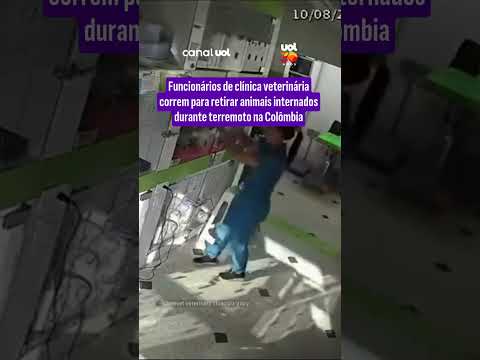 Clínica em Medellín evacua pets às pressas em meio a forte tremor de magnitude 7,4