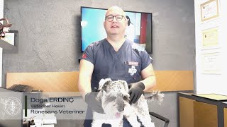 Bizden Biri I Bölüm 3 I Doğa ERDİNÇ