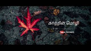 Download lagu Katrin Mozhi Song II Whatsapp Status Video II Love Status Video II Morning Vibes mp3 Download lagu Katrin Mozhi Song II Whatsapp Status Video II Love Status Video II Morning Vibes mp3