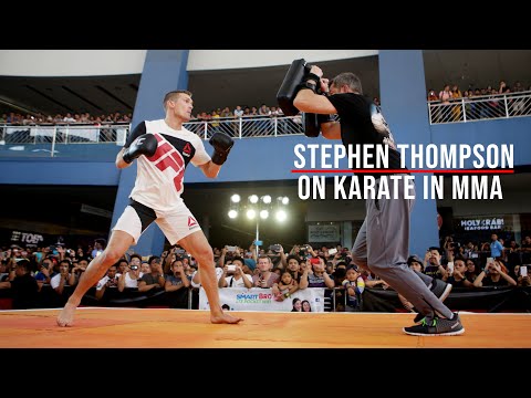 UFC Stephen Thompson Talks How Karate Works for MMA