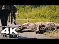 BEST UPCOMING MOVIES IN SEPTEMBER 2025 Trailers