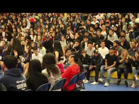 Diversity Rally 2019 | Teora Ori Tahiti Polynesian Dance Club