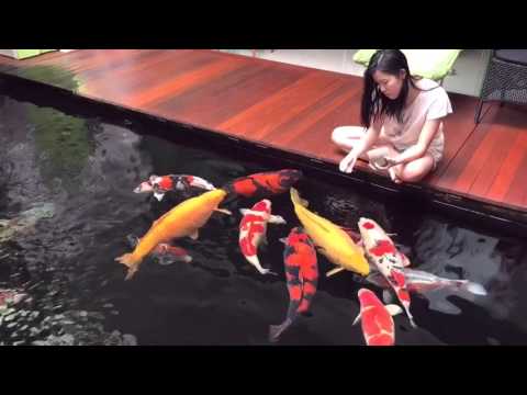 Watch Video on YouTube