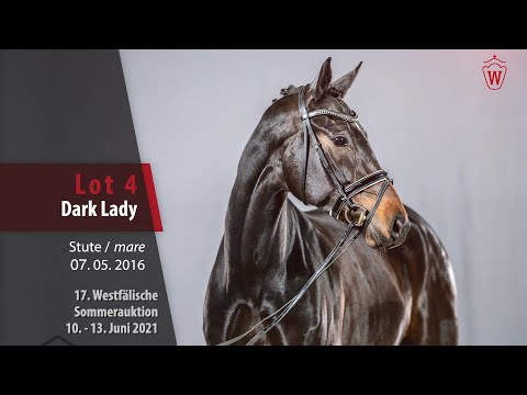 Westfälische Sommer-Auktion Lot 4 Dark Lady Stute v. Dante Weltino - Fabriano
