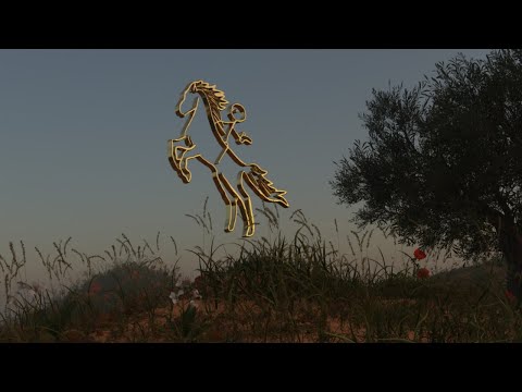 Cam Wales - F# (Music Visualizer)