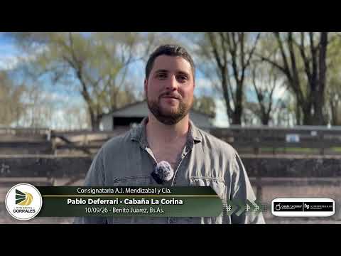 10-09-26 - Pablo Deferrari - Cabaña La Corina - Benito Juarez, Bs.As.