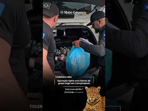 Operação Ophis mira líderes de grupo ilegal em Campinápolis