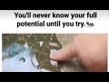You Will Never Know Your Full Potential Until You Try Motivational Video